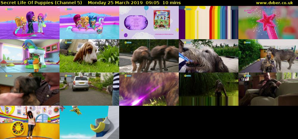 Secret Life Of Puppies (Channel 5) Monday 25 March 2019 09:05 - 09:15