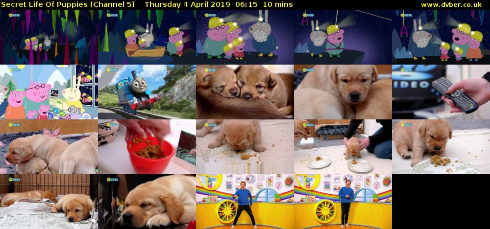 Secret Life Of Puppies (Channel 5) Thursday 4 April 2019 06:15 - 06:25