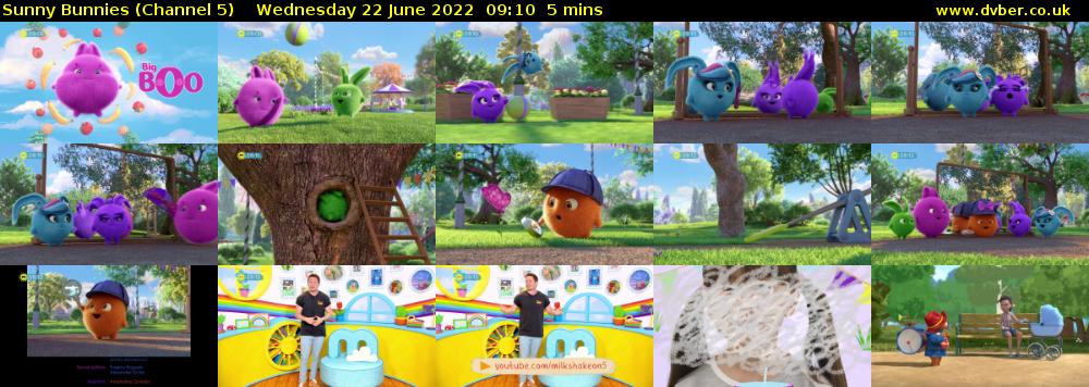 Sunny Bunnies (Channel 5) Wednesday 22 June 2022 09:10 - 09:15