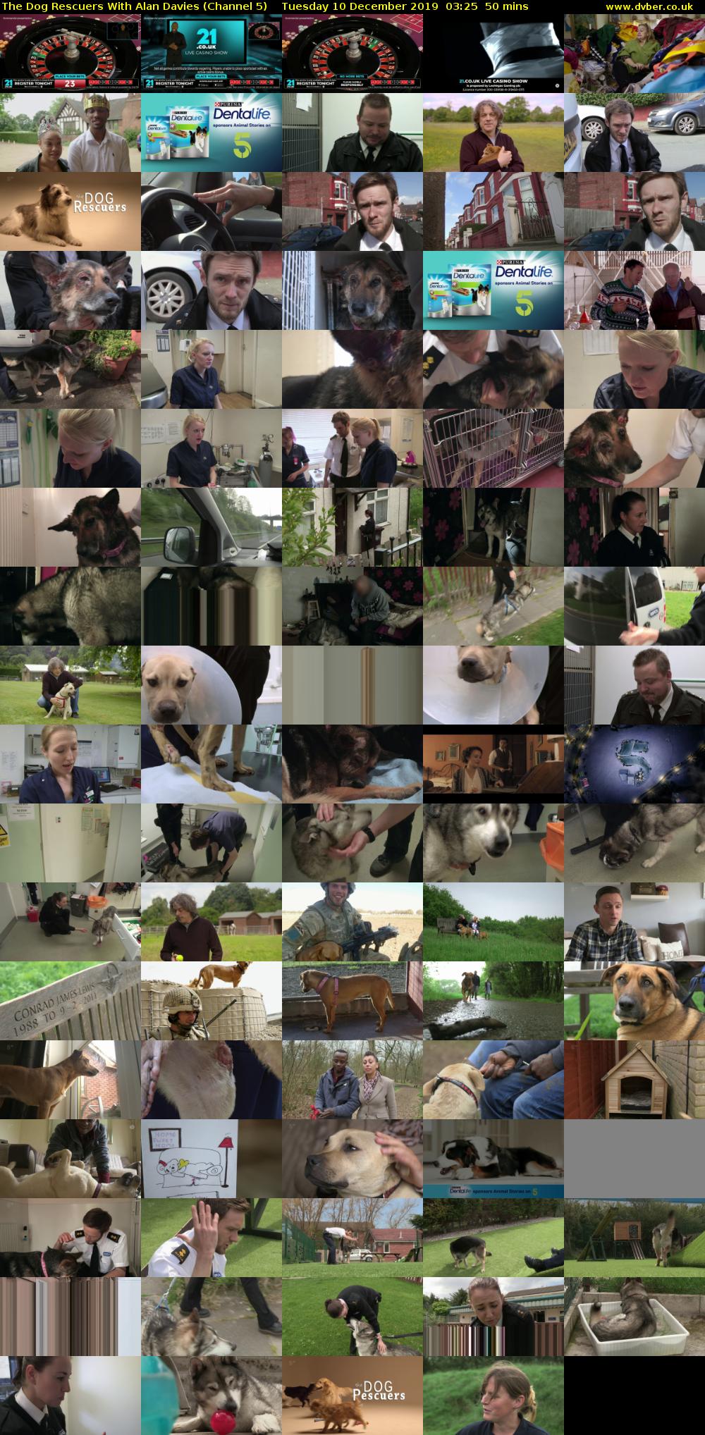 The Dog Rescuers With Alan Davies (Channel 5) Tuesday 10 December 2019 03:25 - 04:15