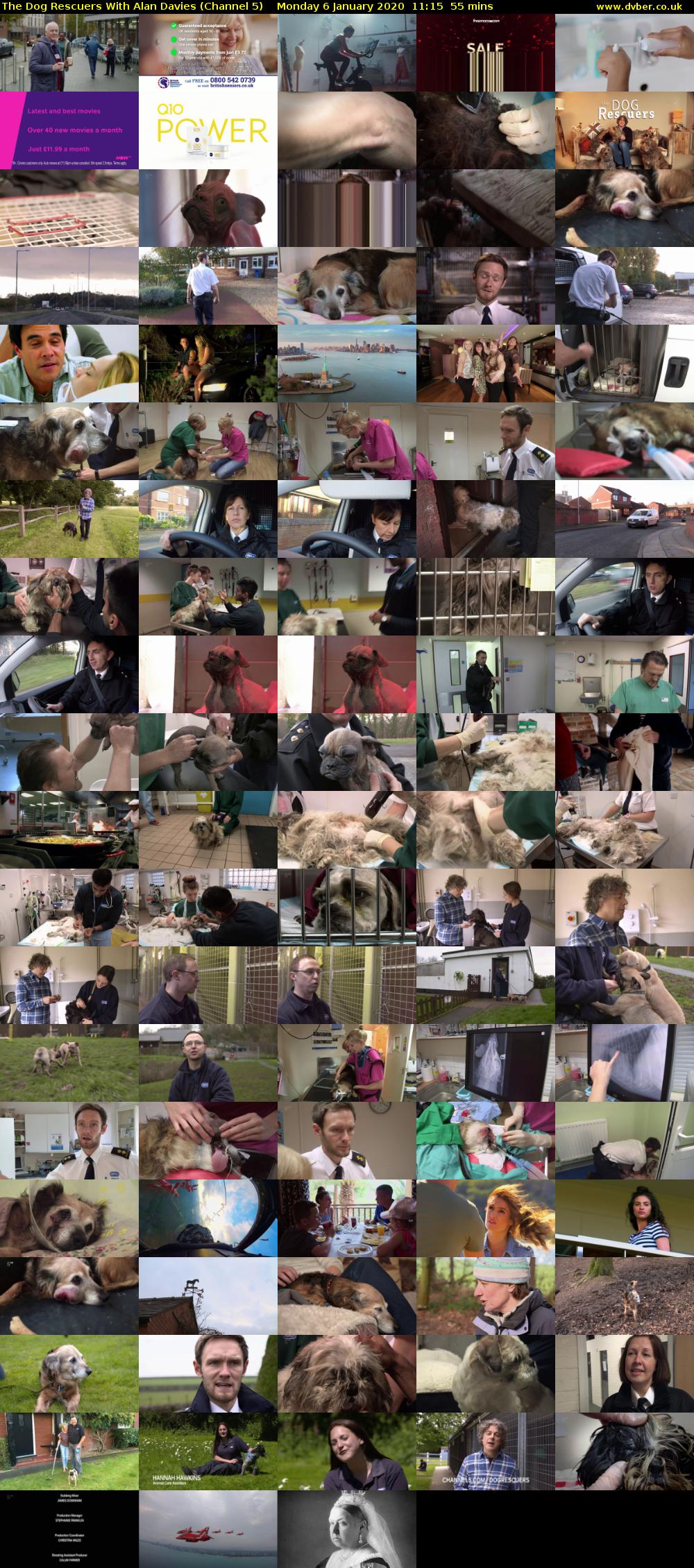 The Dog Rescuers With Alan Davies (Channel 5) Monday 6 January 2020 11:15 - 12:10