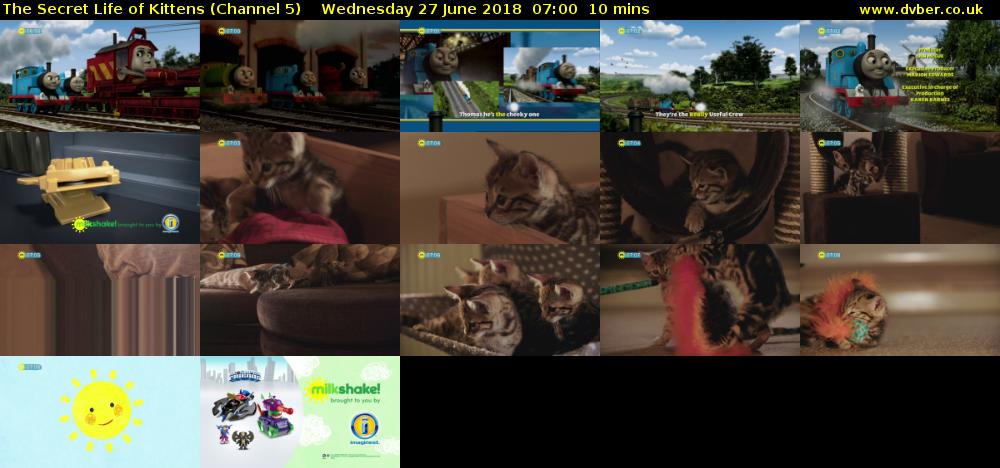 The Secret Life of Kittens (Channel 5) Wednesday 27 June 2018 07:00 - 07:10