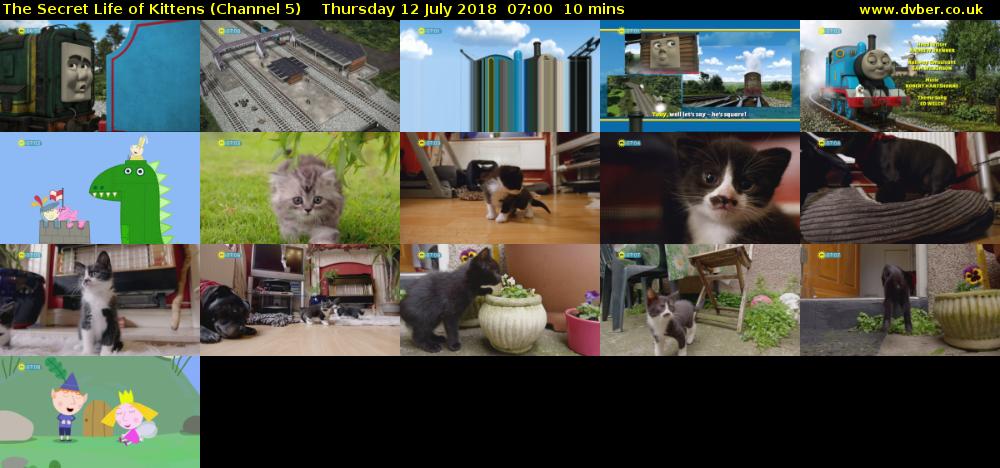 The Secret Life of Kittens (Channel 5) Thursday 12 July 2018 07:00 - 07:10