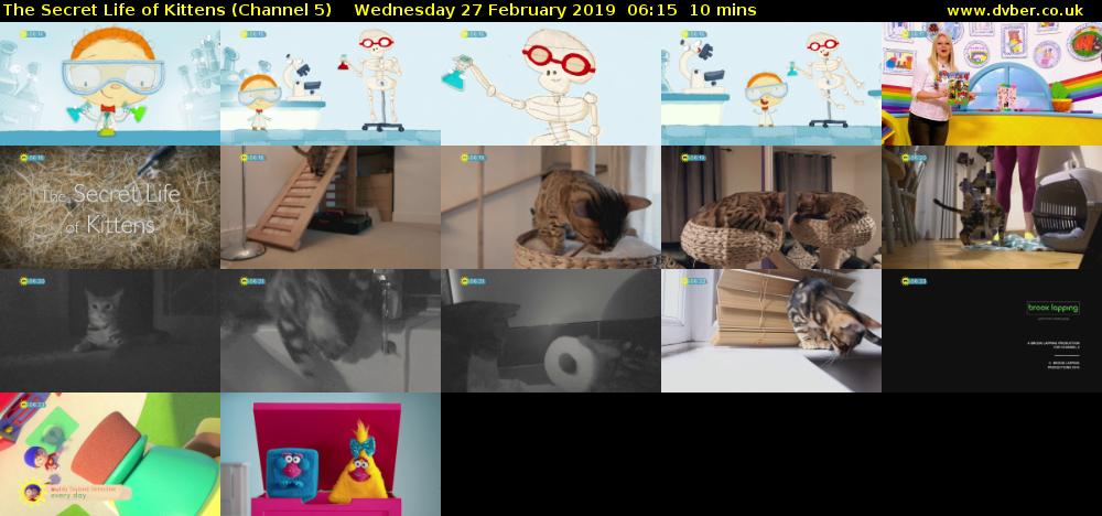 The Secret Life of Kittens (Channel 5) Wednesday 27 February 2019 06:15 - 06:25
