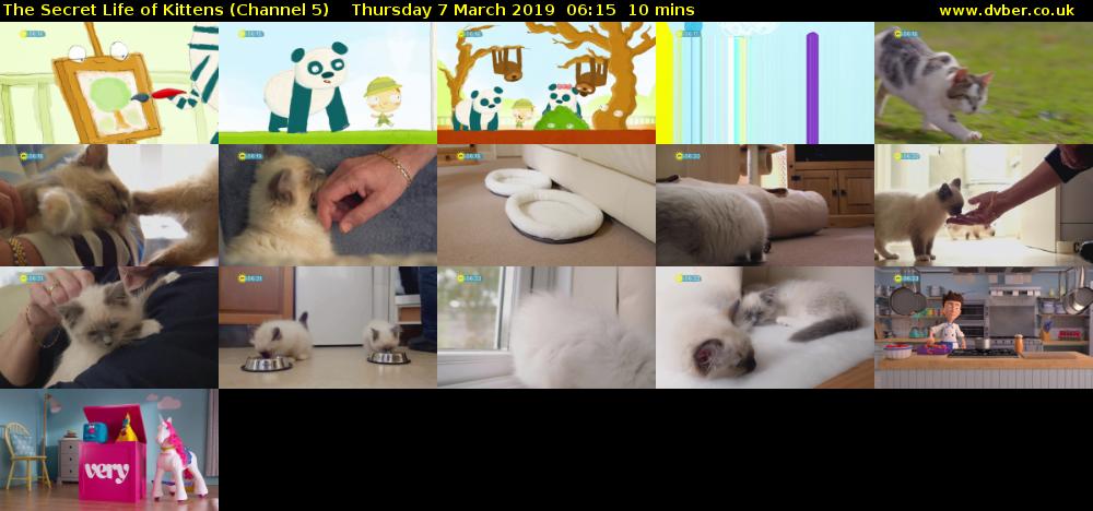 The Secret Life of Kittens (Channel 5) Thursday 7 March 2019 06:15 - 06:25