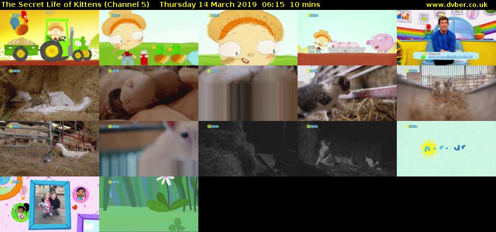 The Secret Life of Kittens (Channel 5) Thursday 14 March 2019 06:15 - 06:25