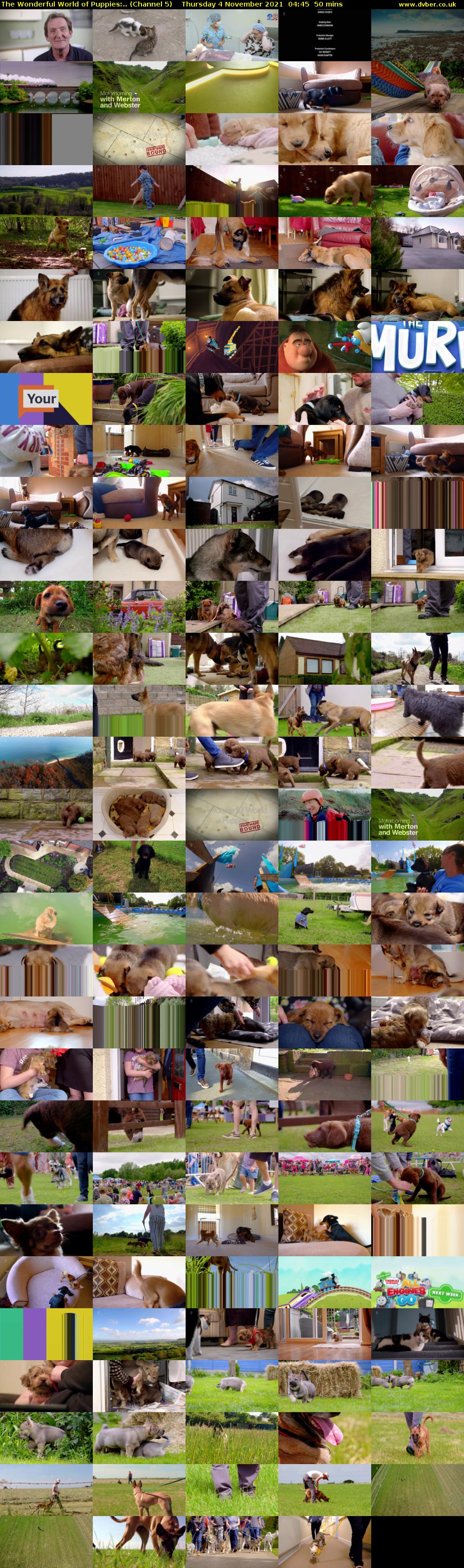 The Wonderful World of Puppies:.. (Channel 5) Thursday 4 November 2021 04:45 - 05:35