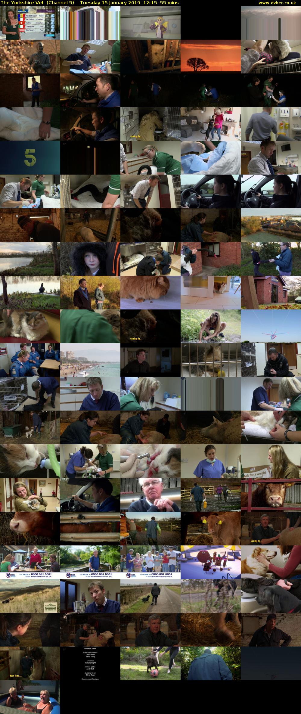 The Yorkshire Vet  (Channel 5) Tuesday 15 January 2019 12:15 - 13:10
