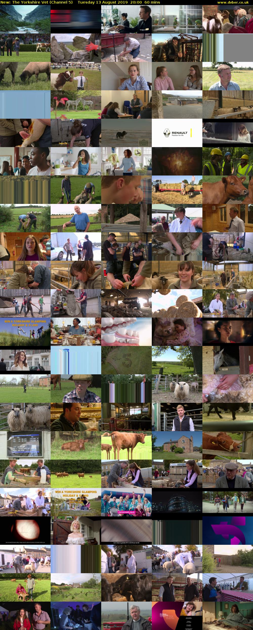 The Yorkshire Vet (Channel 5) Tuesday 13 August 2019 20:00 - 21:00