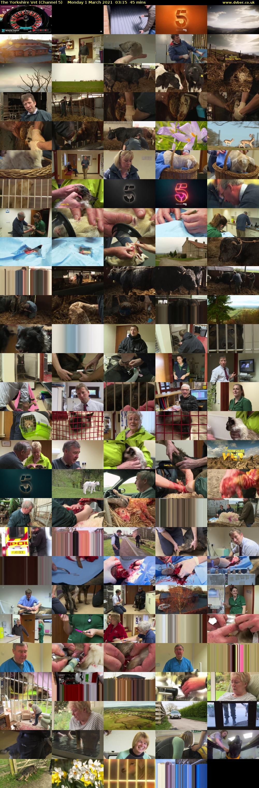 The Yorkshire Vet (Channel 5) Monday 1 March 2021 03:15 - 04:00