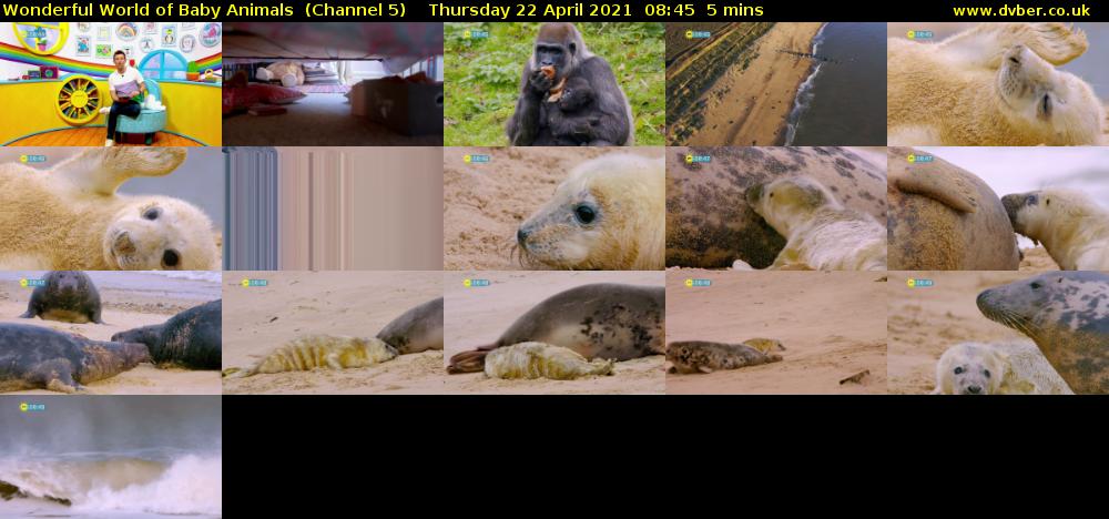 Wonderful World of Baby Animals  (Channel 5) Thursday 22 April 2021 08:45 - 08:50