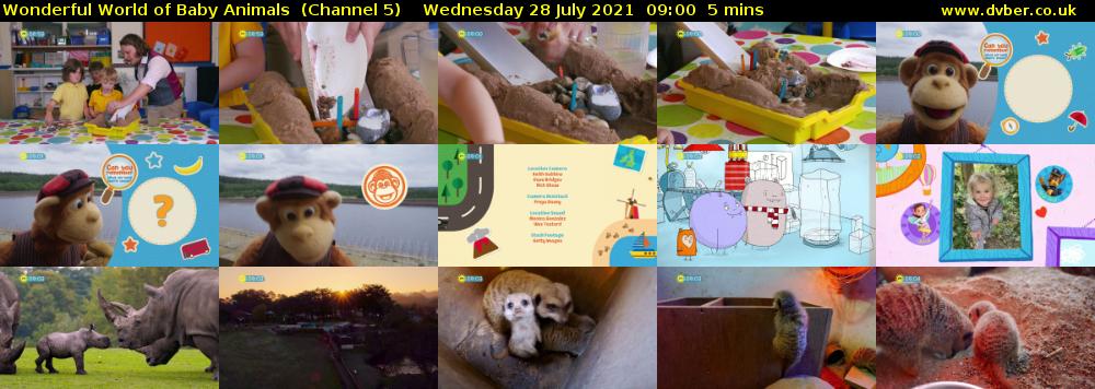 Wonderful World of Baby Animals  (Channel 5) Wednesday 28 July 2021 09:00 - 09:05