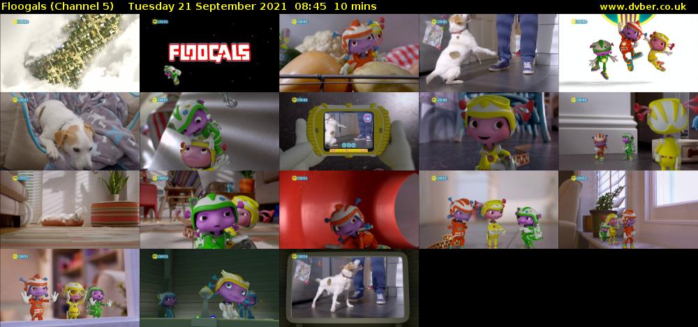 Floogals (Channel 5) Tuesday 21 September 2021 08:45 - 08:55