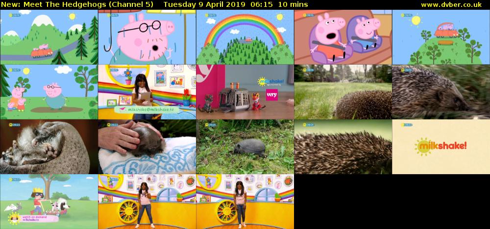 Meet The Hedgehogs (Channel 5) Tuesday 9 April 2019 06:15 - 06:25
