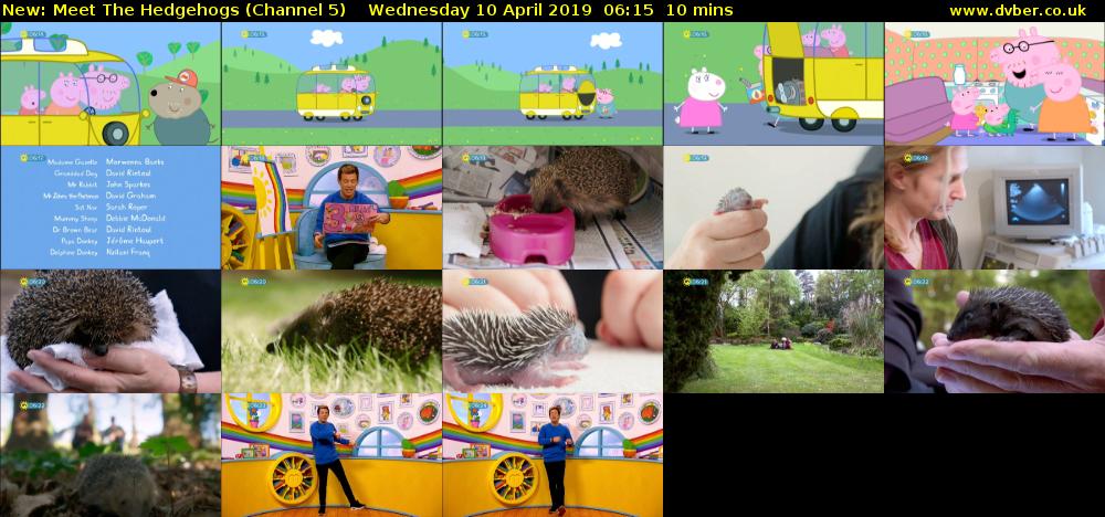 Meet The Hedgehogs (Channel 5) Wednesday 10 April 2019 06:15 - 06:25