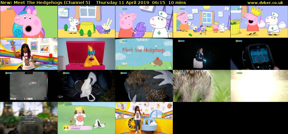 Meet The Hedgehogs (Channel 5) Thursday 11 April 2019 06:15 - 06:25