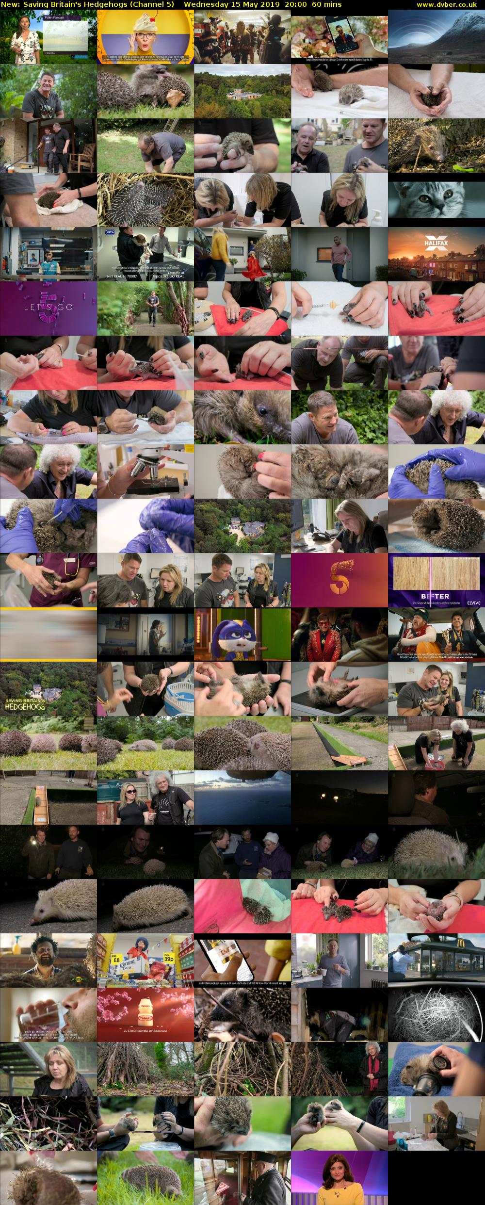 Saving Britain's Hedgehogs (Channel 5) Wednesday 15 May 2019 20:00 - 21:00
