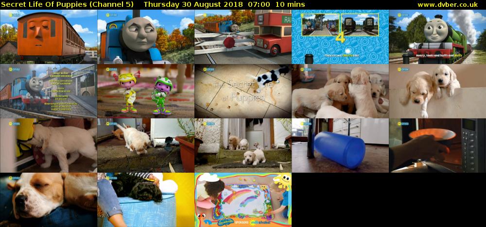 Secret Life Of Puppies (Channel 5) Thursday 30 August 2018 07:00 - 07:10