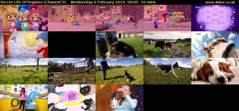 Secret Life Of Puppies (Channel 5) Wednesday 6 February 2019 09:05 - 09:15