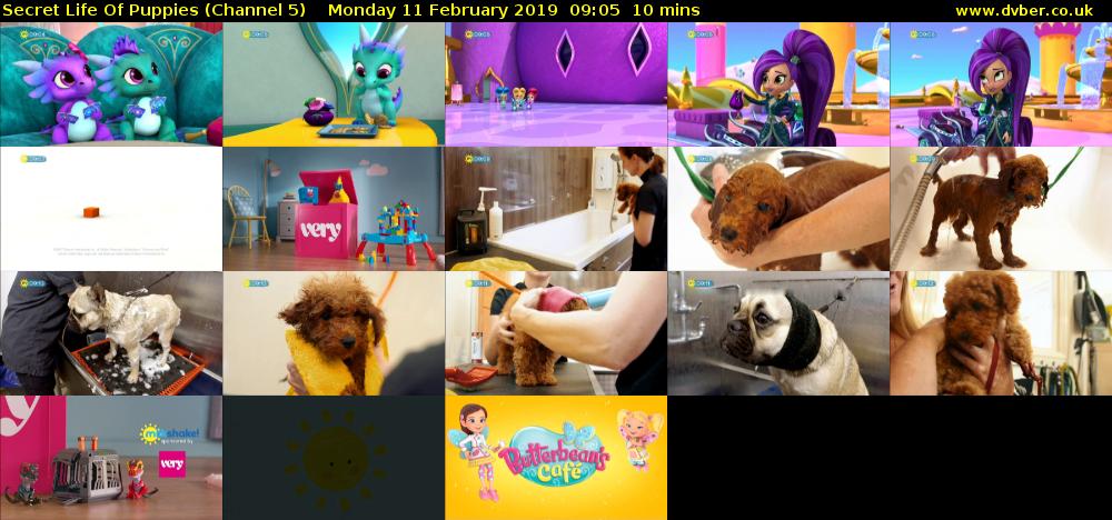 Secret Life Of Puppies (Channel 5) Monday 11 February 2019 09:05 - 09:15