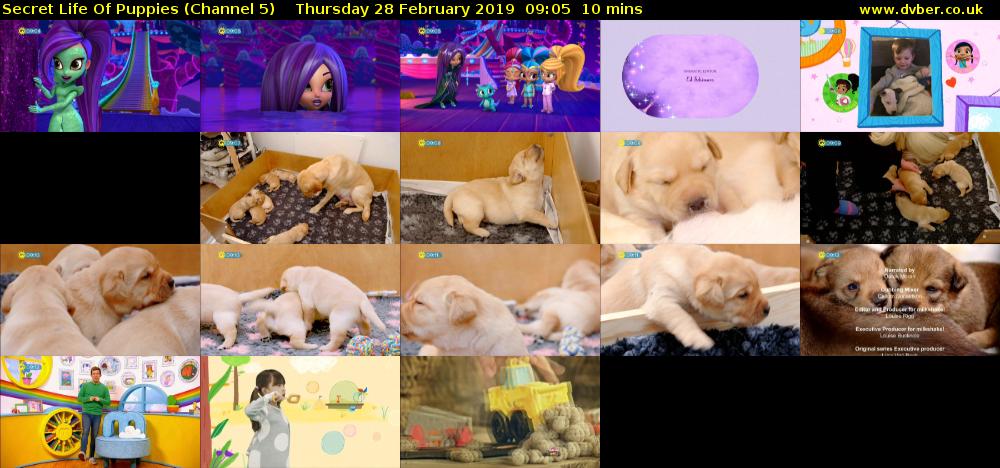 Secret Life Of Puppies (Channel 5) Thursday 28 February 2019 09:05 - 09:15