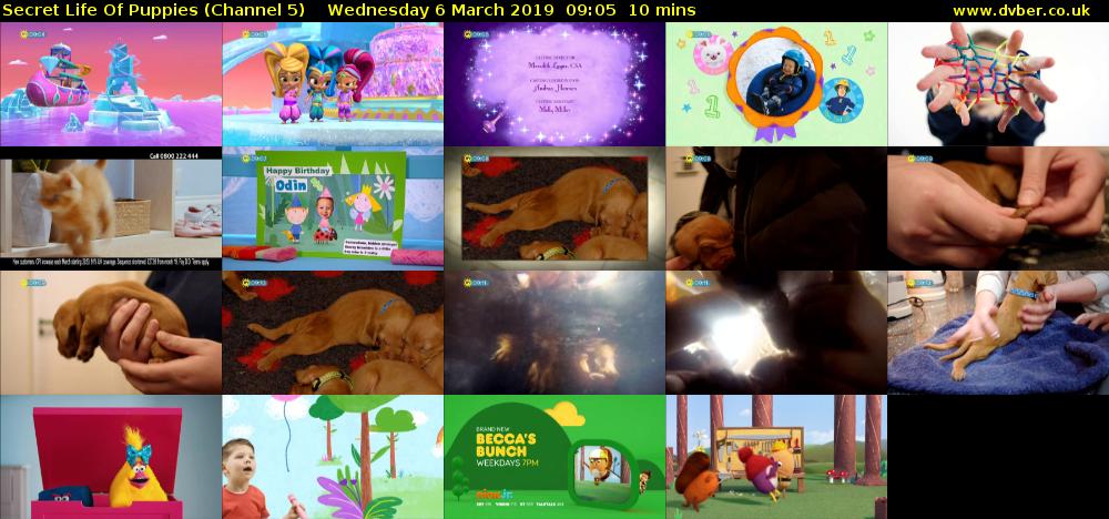 Secret Life Of Puppies (Channel 5) Wednesday 6 March 2019 09:05 - 09:15