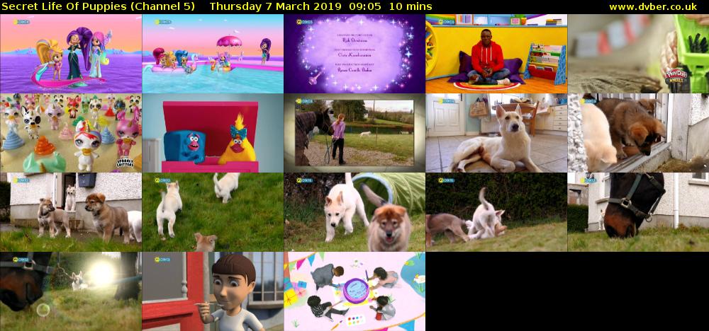 Secret Life Of Puppies (Channel 5) Thursday 7 March 2019 09:05 - 09:15