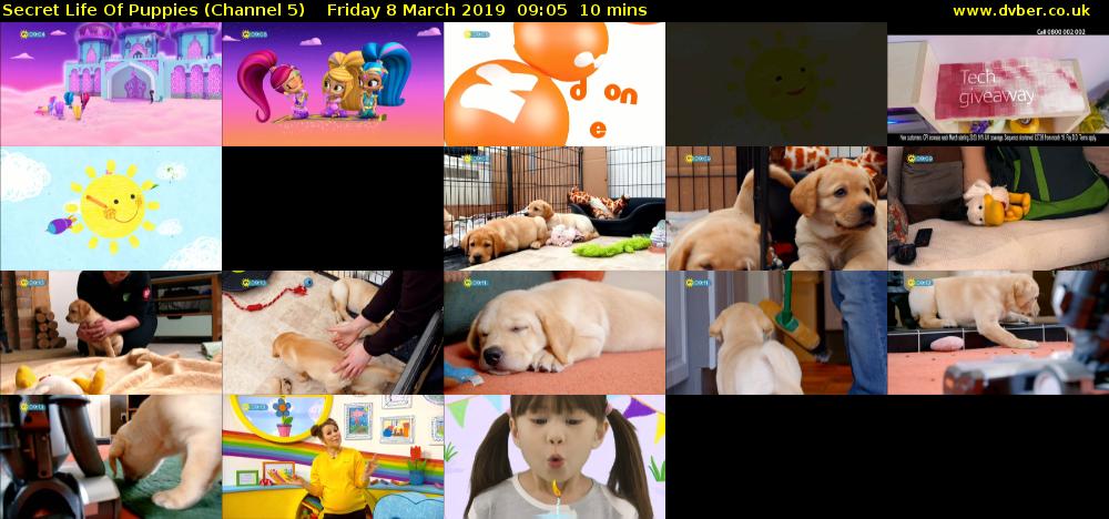 Secret Life Of Puppies (Channel 5) Friday 8 March 2019 09:05 - 09:15