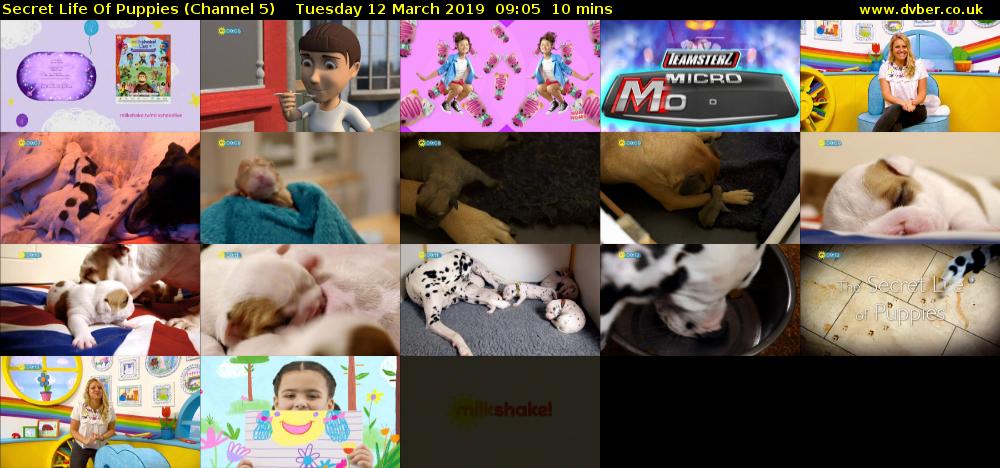 Secret Life Of Puppies (Channel 5) Tuesday 12 March 2019 09:05 - 09:15