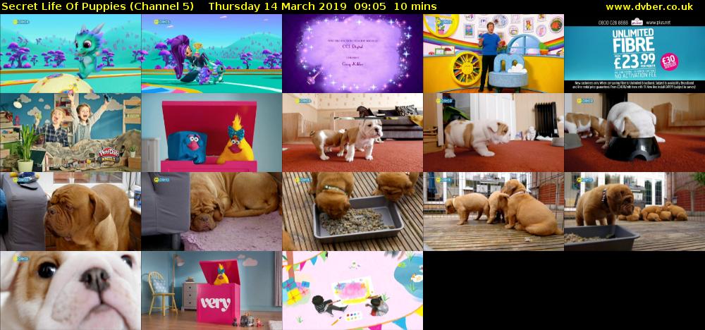 Secret Life Of Puppies (Channel 5) Thursday 14 March 2019 09:05 - 09:15