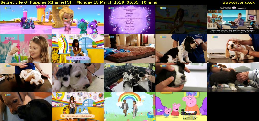 Secret Life Of Puppies (Channel 5) Monday 18 March 2019 09:05 - 09:15