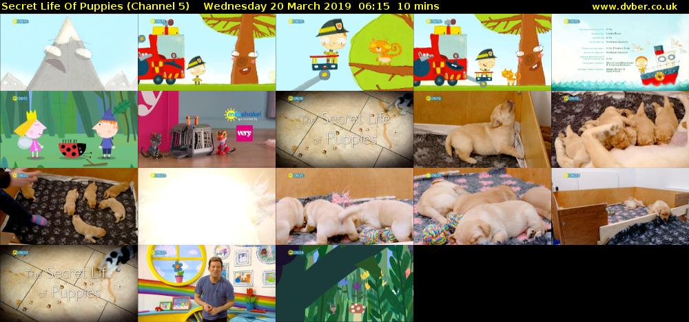 Secret Life Of Puppies (Channel 5) Wednesday 20 March 2019 06:15 - 06:25
