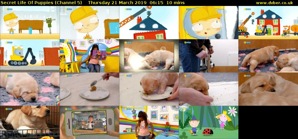 Secret Life Of Puppies (Channel 5) Thursday 21 March 2019 06:15 - 06:25