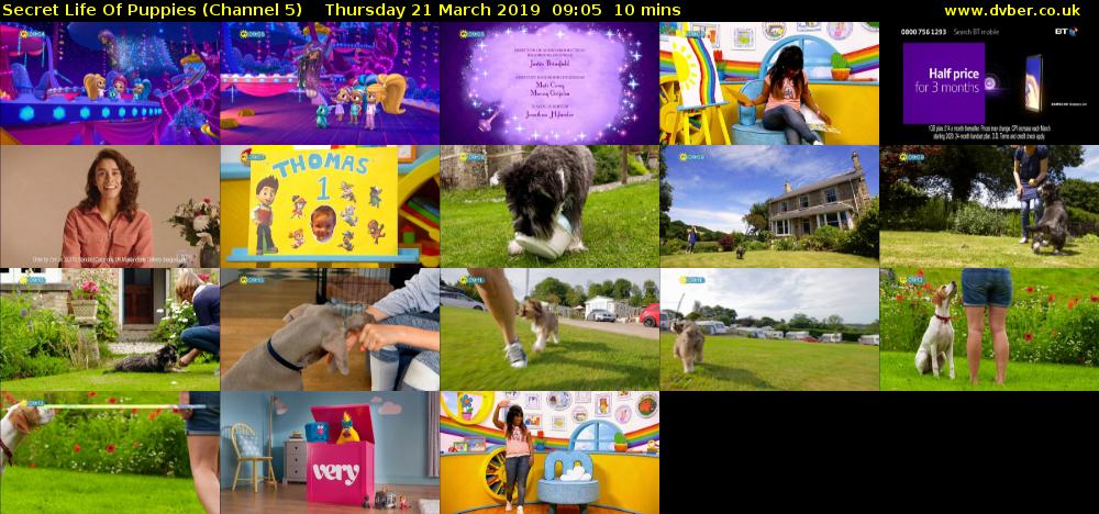 Secret Life Of Puppies (Channel 5) Thursday 21 March 2019 09:05 - 09:15