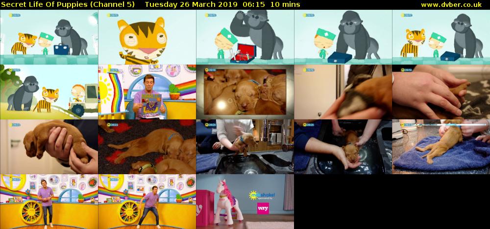 Secret Life Of Puppies (Channel 5) Tuesday 26 March 2019 06:15 - 06:25