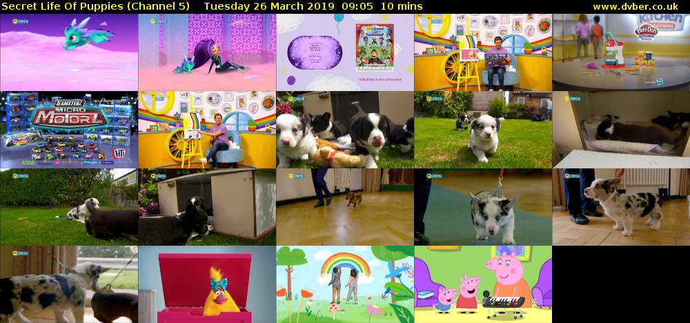 Secret Life Of Puppies (Channel 5) Tuesday 26 March 2019 09:05 - 09:15