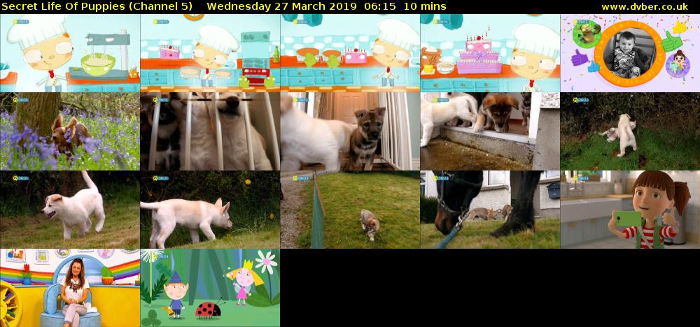 Secret Life Of Puppies (Channel 5) Wednesday 27 March 2019 06:15 - 06:25
