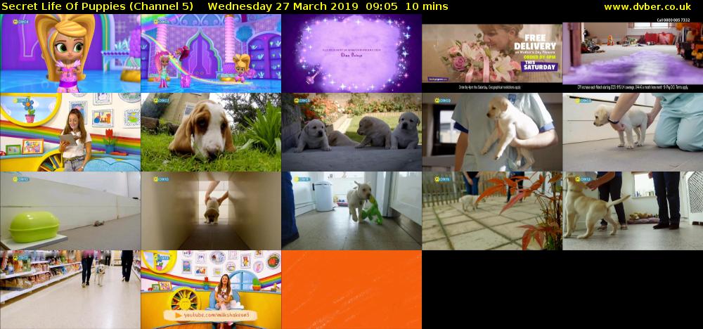 Secret Life Of Puppies (Channel 5) Wednesday 27 March 2019 09:05 - 09:15