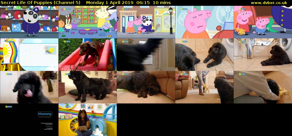 Secret Life Of Puppies (Channel 5) Monday 1 April 2019 06:15 - 06:25