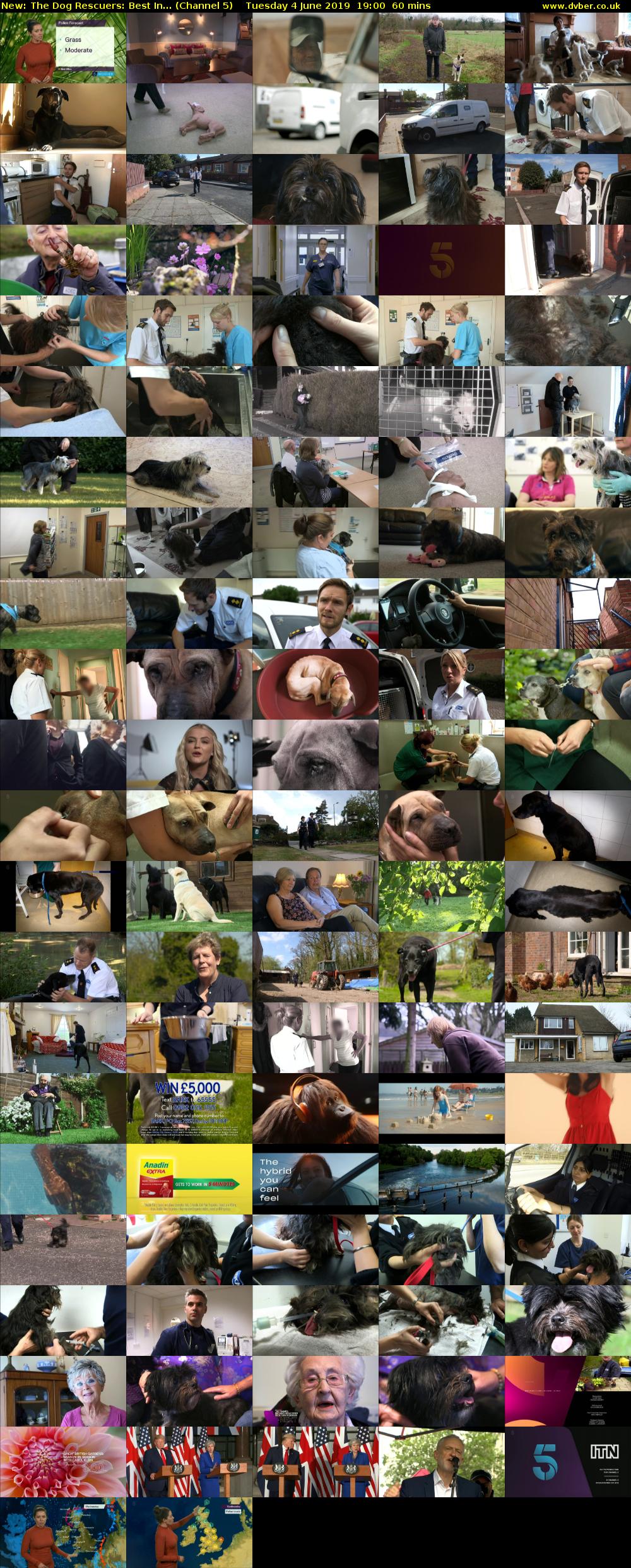 The Dog Rescuers: Best In... (Channel 5) Tuesday 4 June 2019 19:00 - 20:00