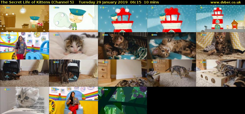 The Secret Life of Kittens (Channel 5) Tuesday 29 January 2019 06:15 - 06:25