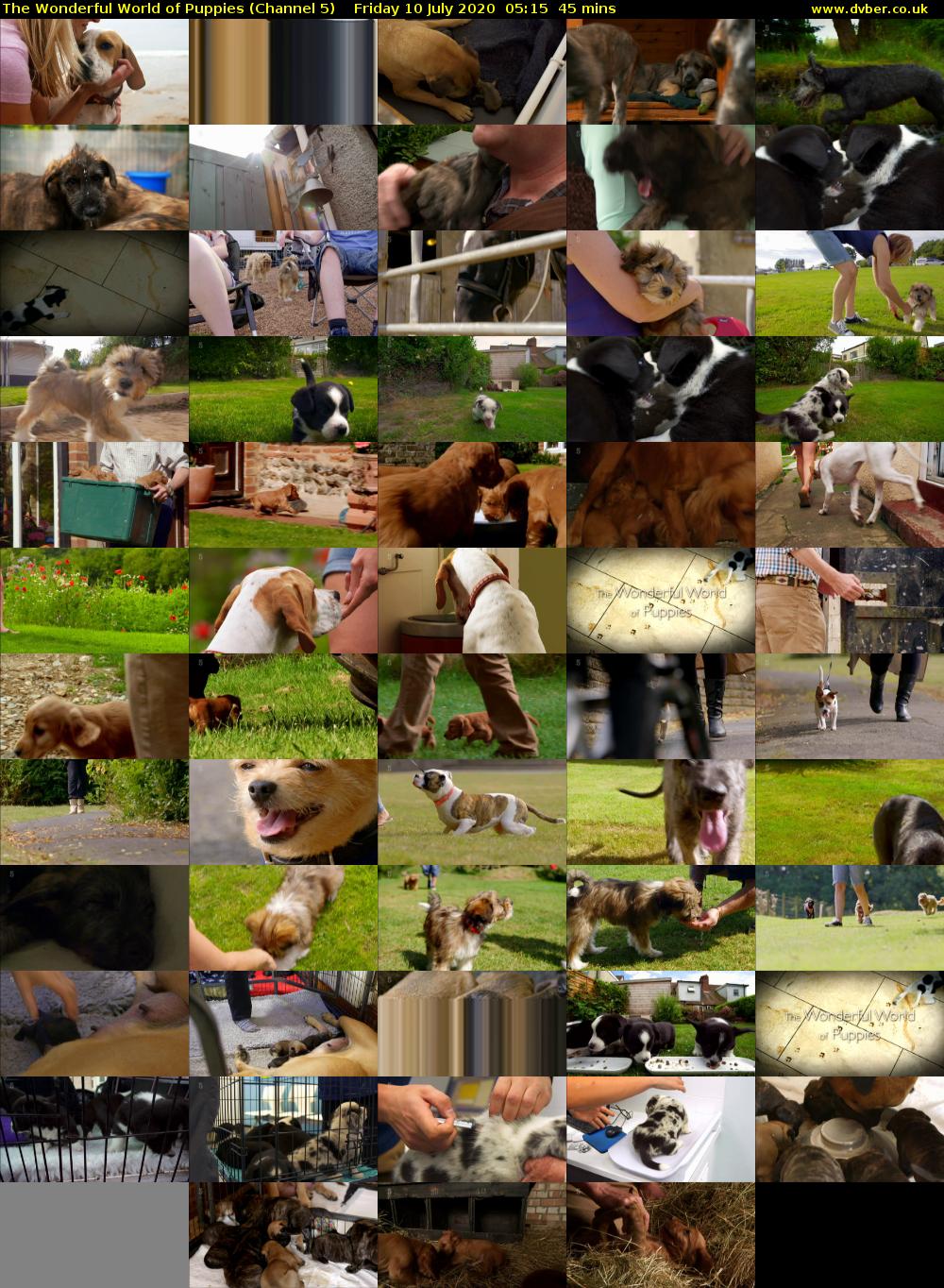 The Wonderful World of Puppies (Channel 5) Friday 10 July 2020 05:15 - 06:00
