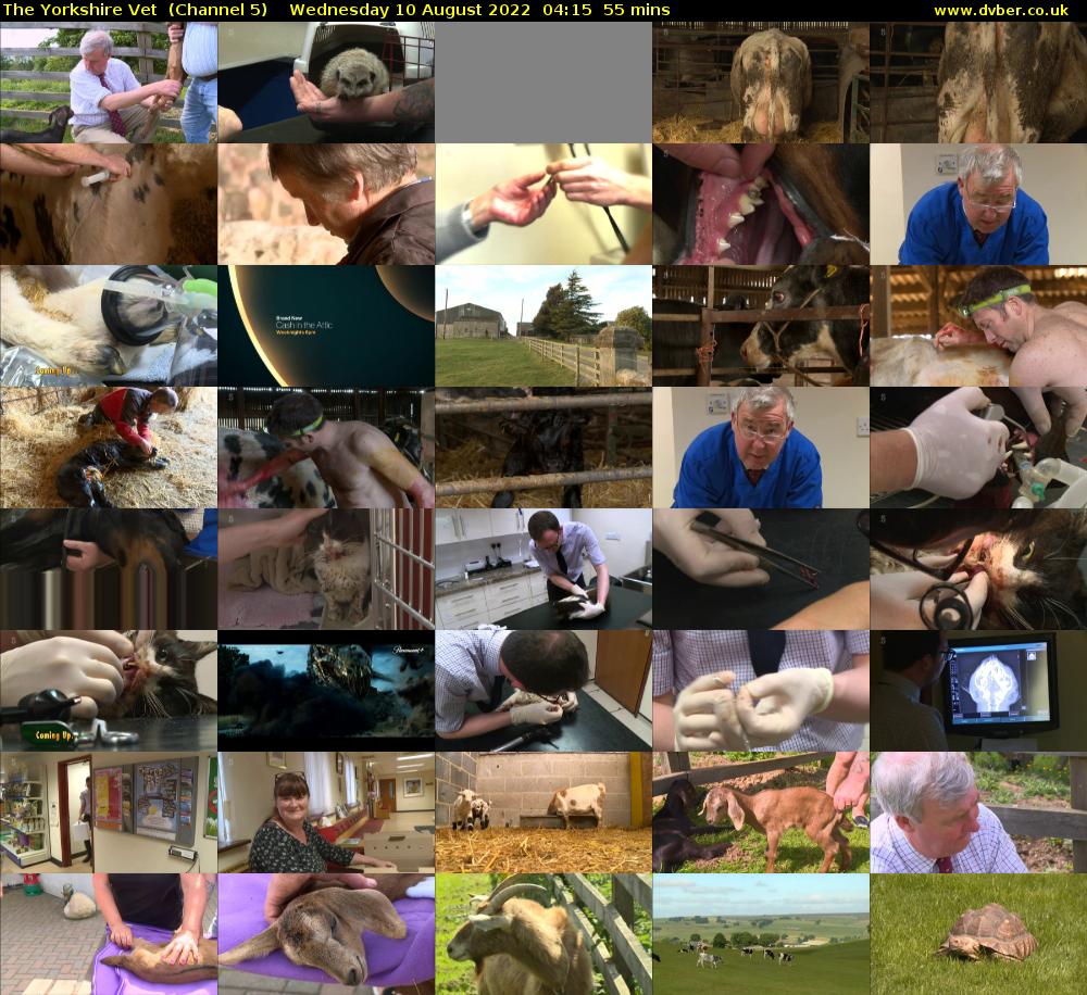 The Yorkshire Vet  (Channel 5) Wednesday 10 August 2022 04:15 - 05:10