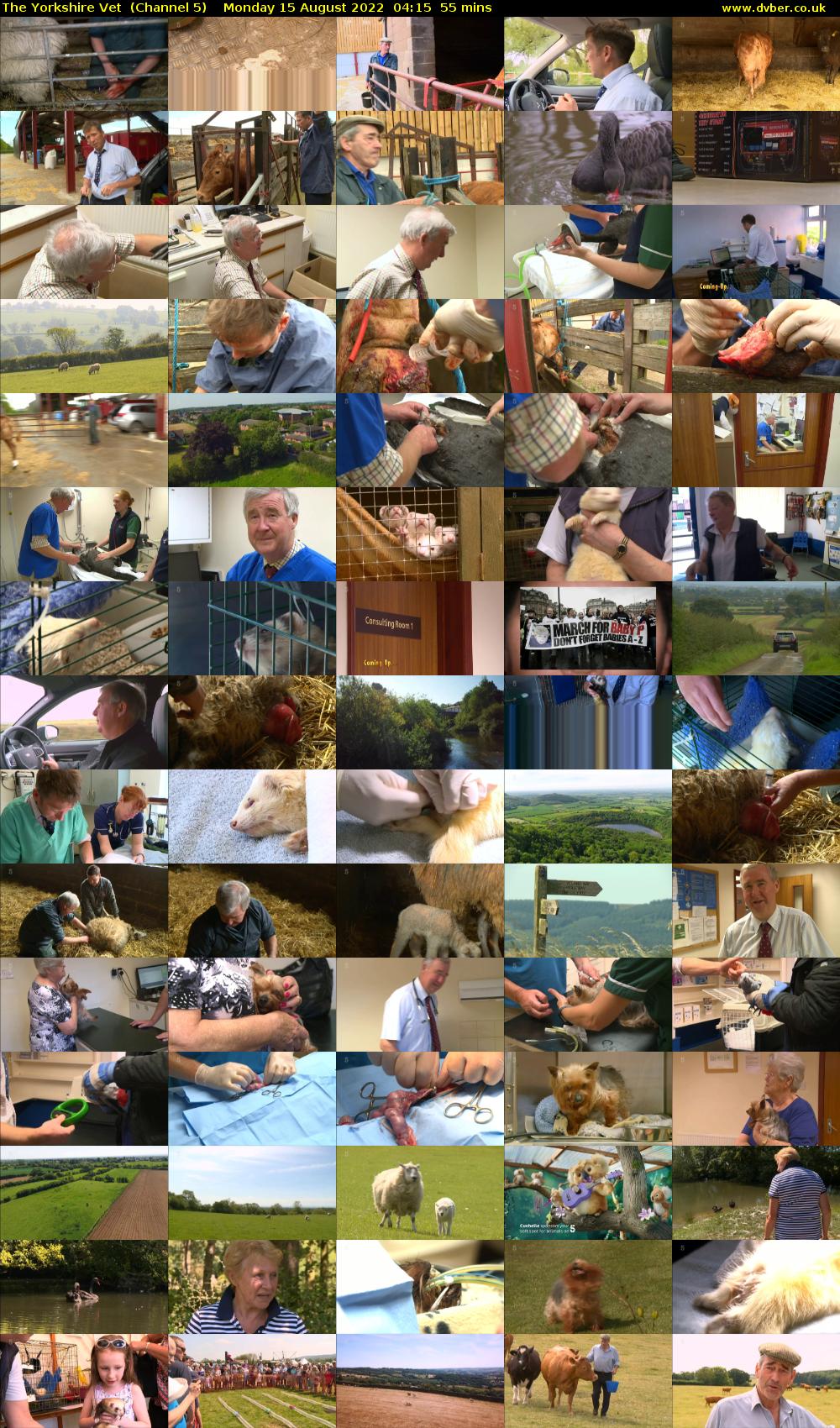 The Yorkshire Vet  (Channel 5) Monday 15 August 2022 04:15 - 05:10