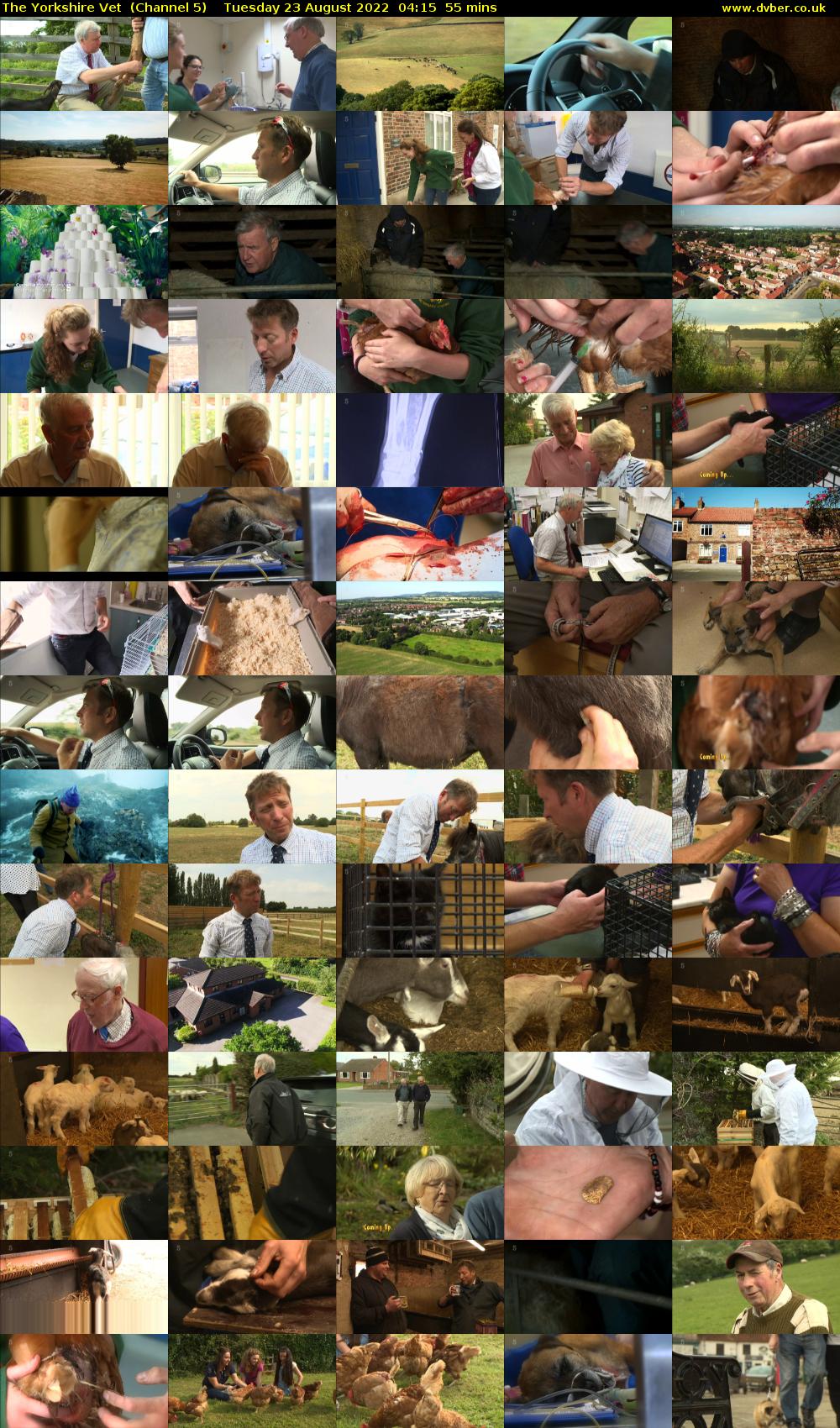 The Yorkshire Vet  (Channel 5) Tuesday 23 August 2022 04:15 - 05:10