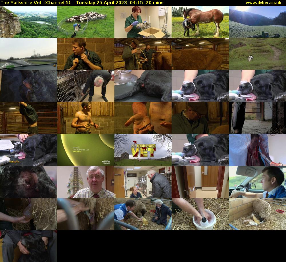The Yorkshire Vet  (Channel 5) Tuesday 25 April 2023 04:15 - 04:35