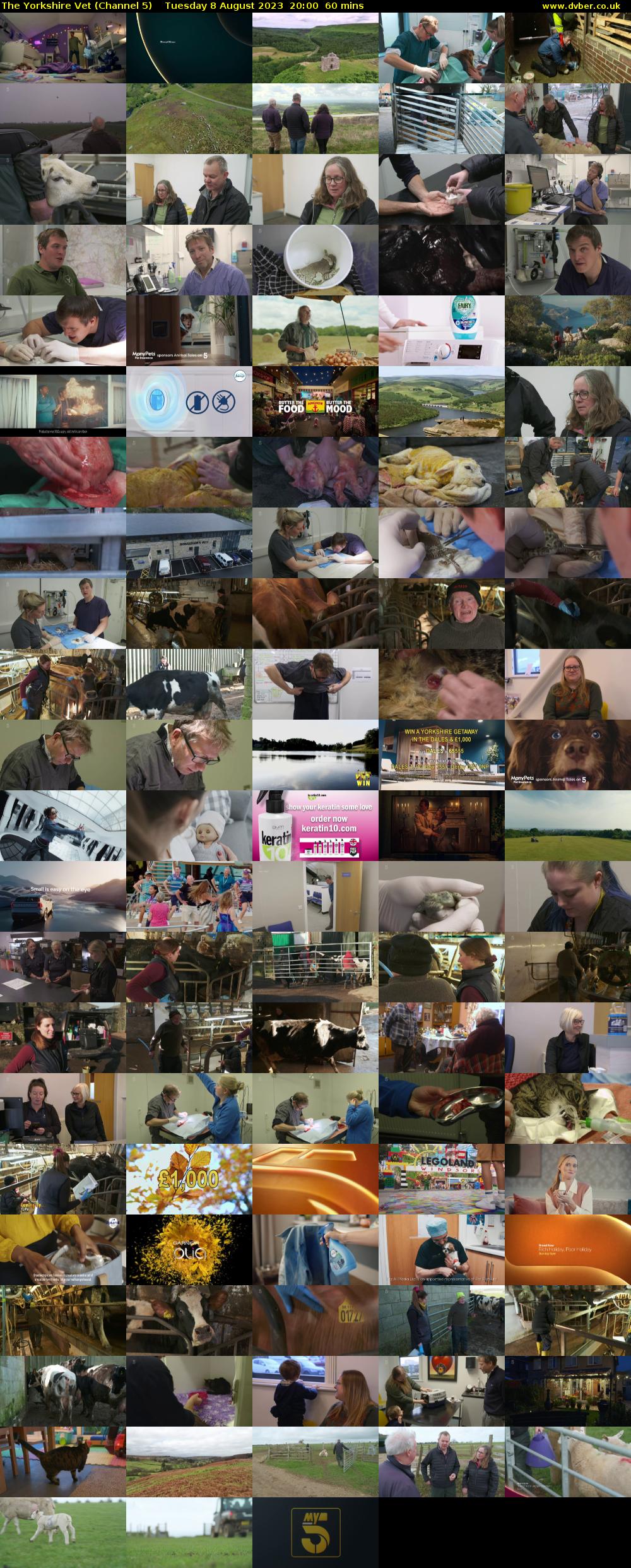 The Yorkshire Vet (Channel 5) Tuesday 8 August 2023 20:00 - 21:00