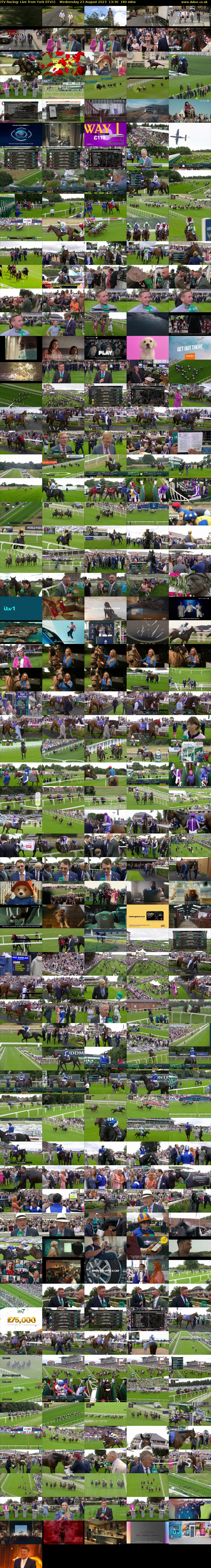ITV Racing: Live from York (ITV1) Wednesday 23 August 2023 13:30 - 16:30