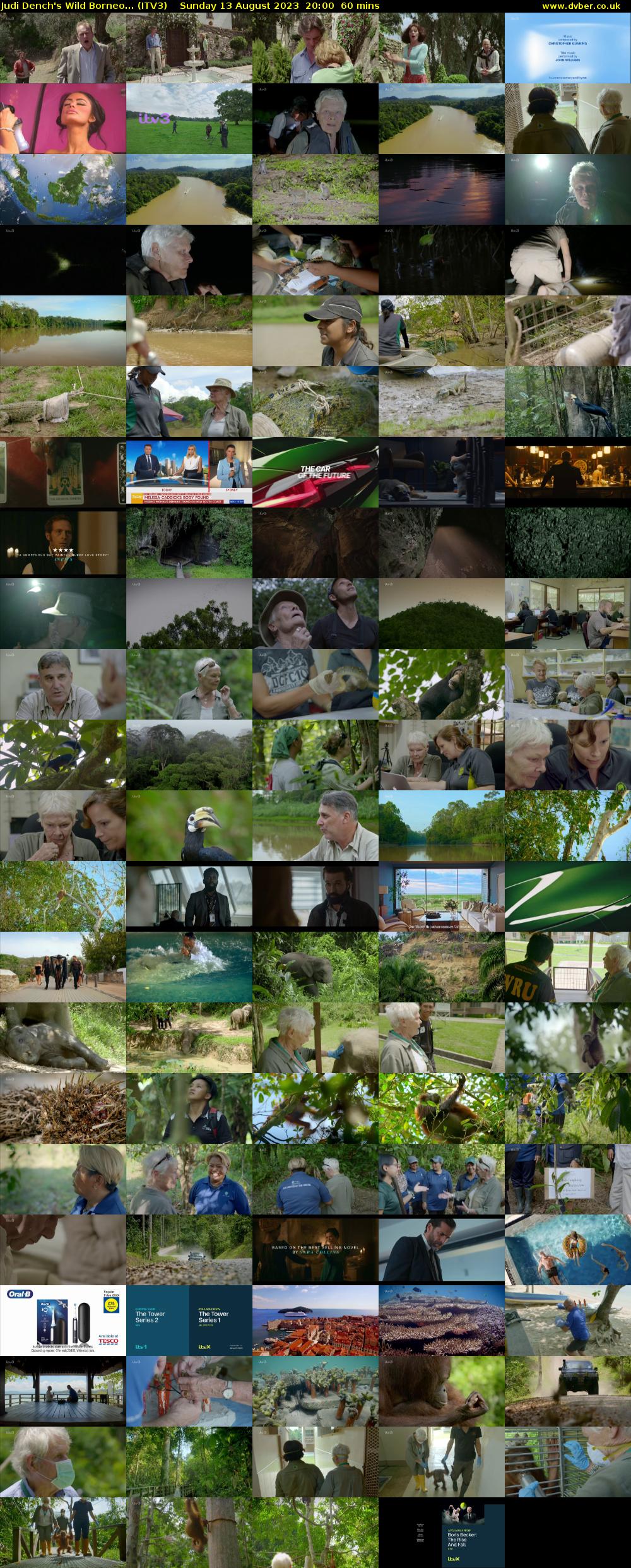 Judi Dench's Wild Borneo... (ITV3) Sunday 13 August 2023 20:00 - 21:00