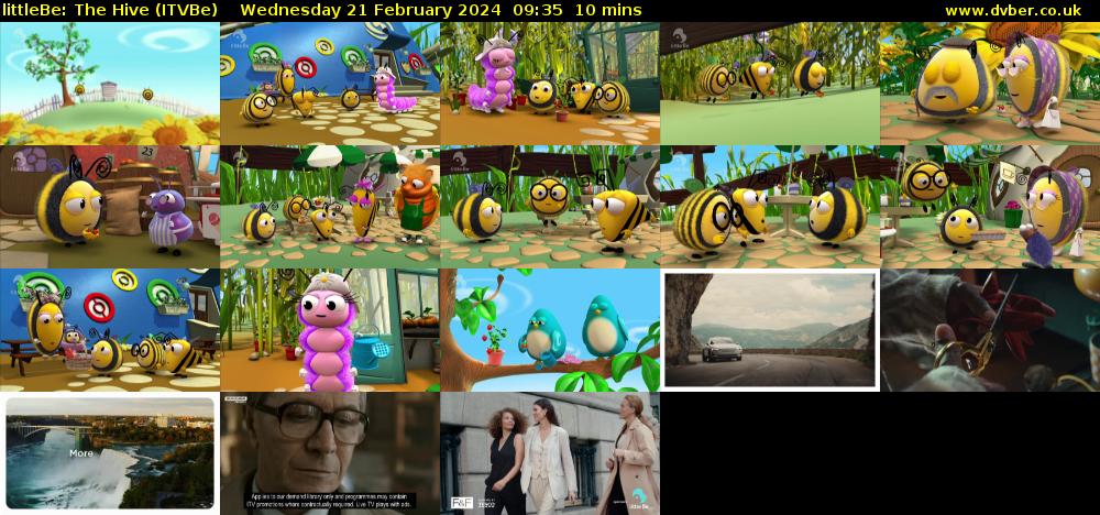 littleBe: The Hive (ITVBe) Wednesday 21 February 2024 09:35 - 09:45